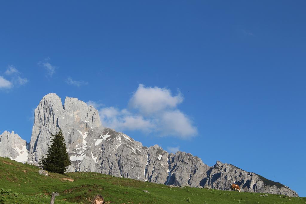 Salzburger Dolomitenhof Annaberg im Lammertal Exterior photo