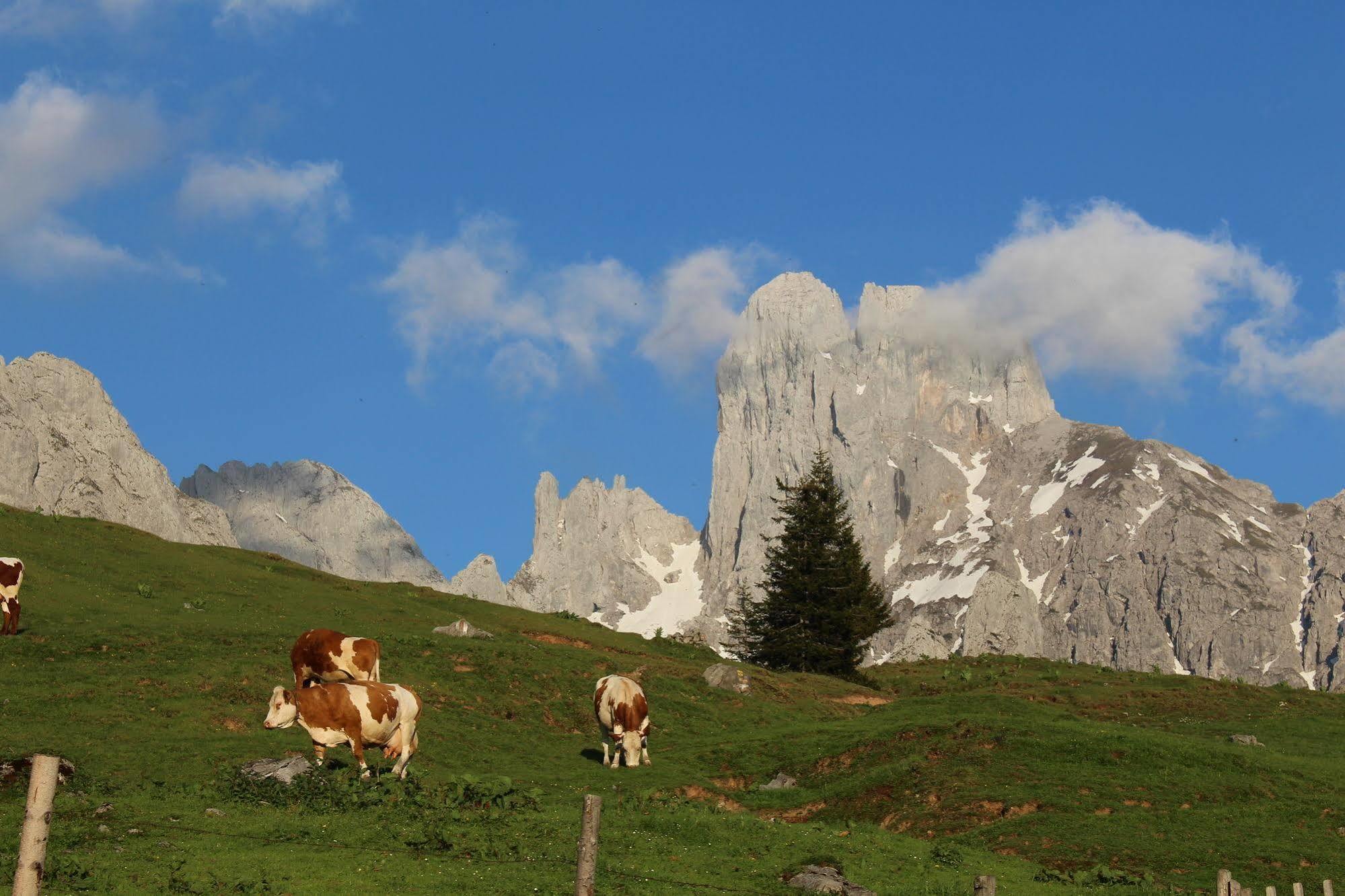Salzburger Dolomitenhof Annaberg im Lammertal Exterior photo